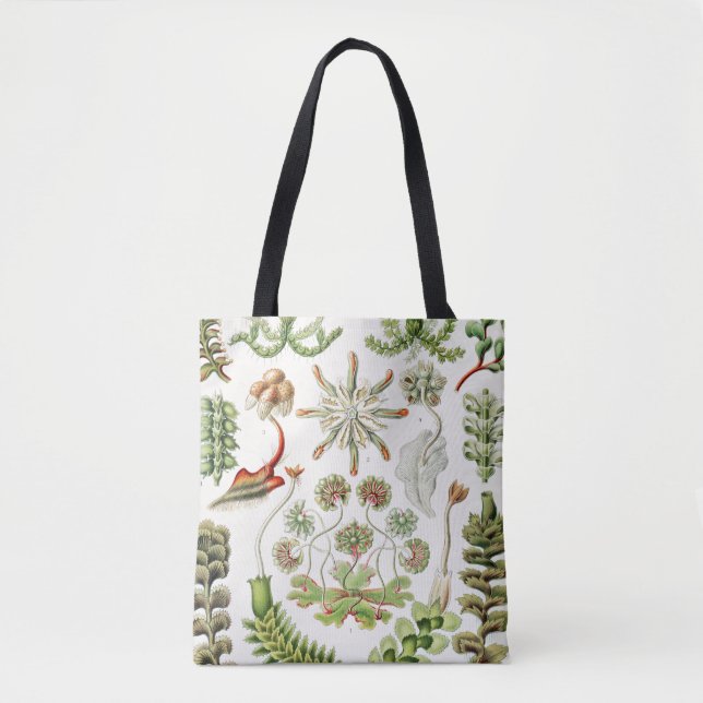 Hepaticae Lebermoose by Ernst Haeckel Tote Bag (Front)