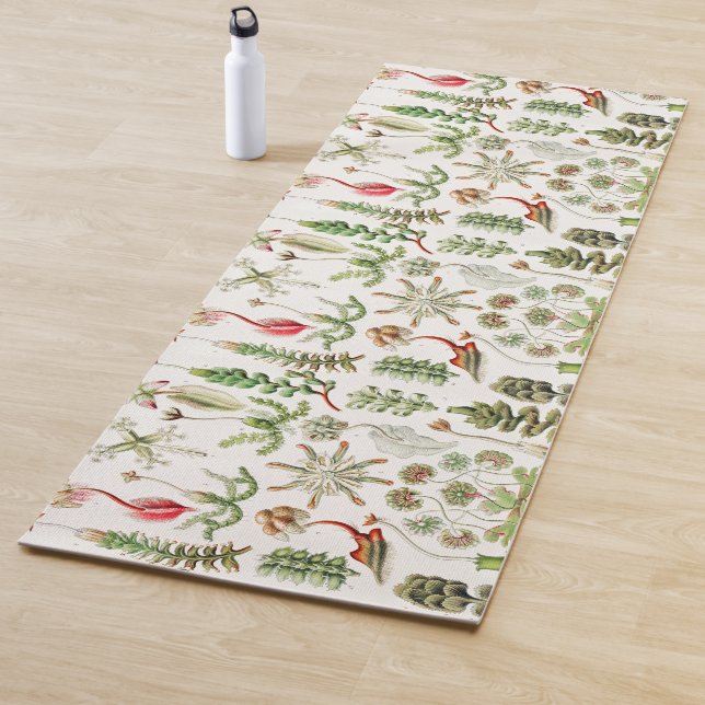 Hepaticae Lebermoose by Ernst Haeckel Yoga Mat (In Situ)