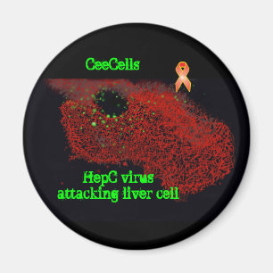 HepC virus attacking liver cell Magnet