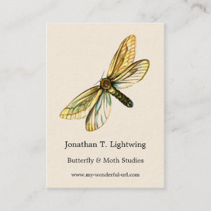 Hepialus humuli female - Ghost Moth or Ghost Swift Business Card