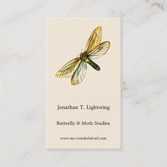 Hepialus humuli female - Ghost Moth or Ghost Swift Business Card (Front)