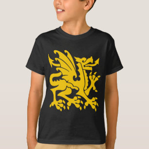 Heraldic Dragon 01 - Amber T-Shirt