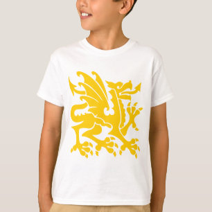 Heraldic Dragon 01 - Amber T-Shirt