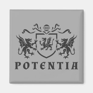 Heraldic Dragon Blazon Magnet