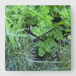 Herb clock