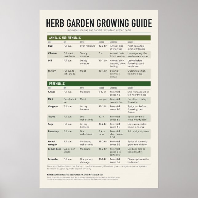 Herb Garden Guide Poster (Front)
