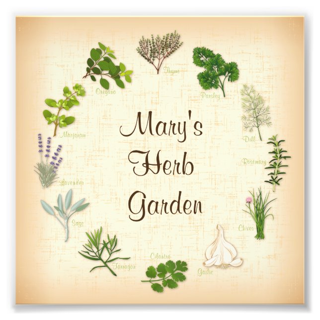 Herb Garden Photo Print (Front)