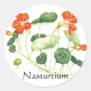 Herb Garden Series - Nasturtium Classic Round Sticker