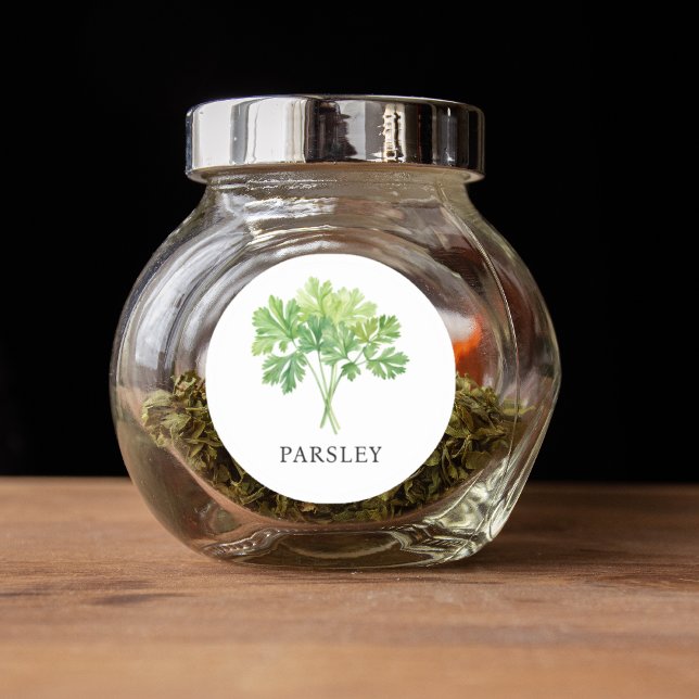 Herb Parsley Watercolor  Classic Round Sticker (Herb Parsley Watercolor Classic Round Sticker)