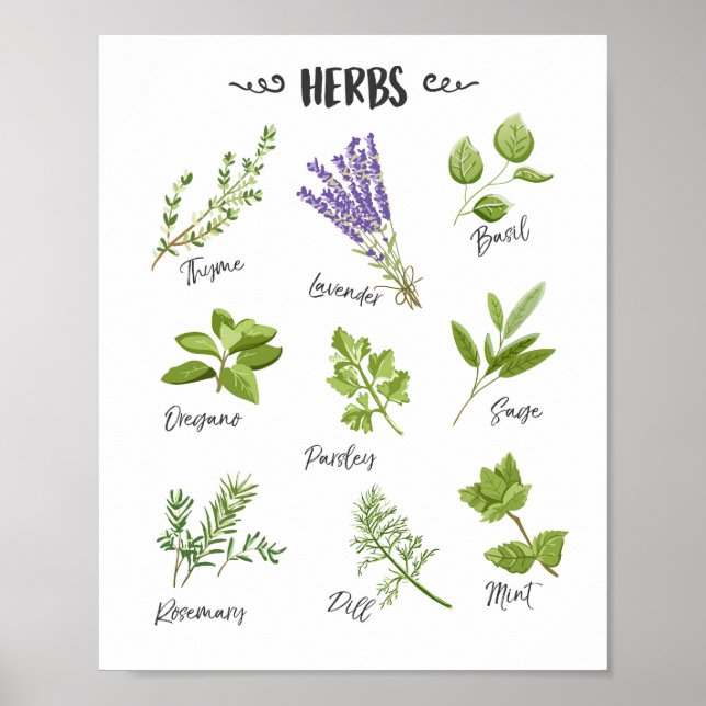 Herb print Herbs art Kitchen art Kitchen decor (Front)