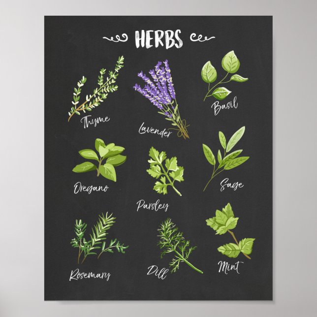 Herb print Herbs art Kitchen art Kitchen decor (Front)
