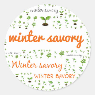HERB WORD LABEL - WINTER SAVORY