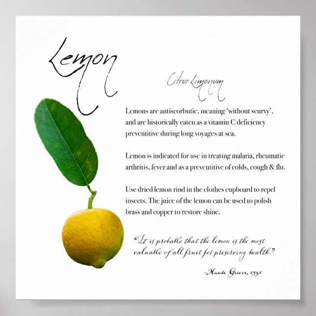 Herbal Apothecary: Lemon | Value Paper Poster (Front)