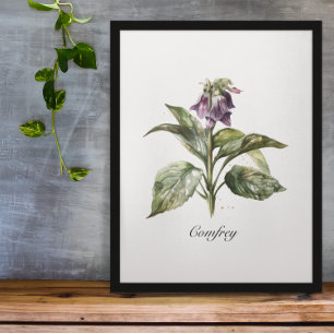 Herbal Life: comfrey customisable Poster