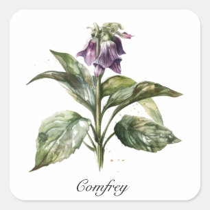 Herbal Life: Comfrey customisable Square Sticker