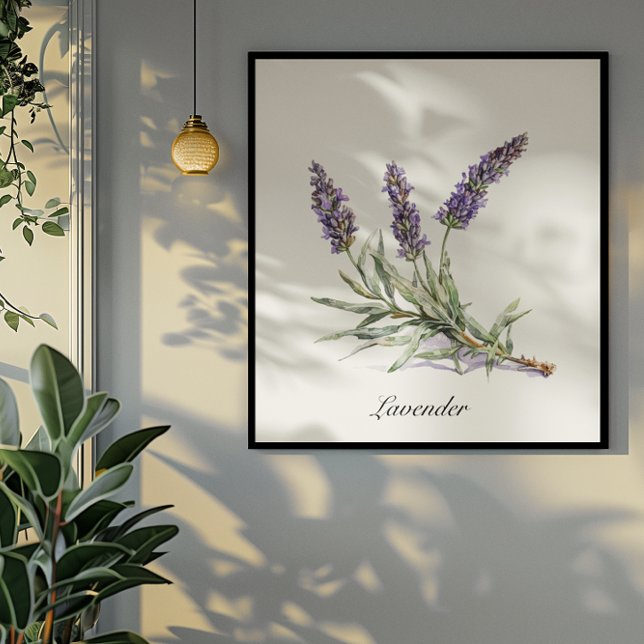 Herbal Life: Lavender, customisable  Poster (Creator Uploaded)