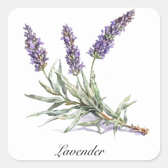 Herbal Life: Lavender, customisable  Square Sticker (Front)