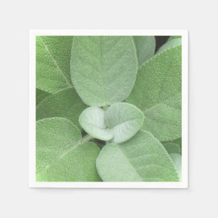 Herbal Napkin