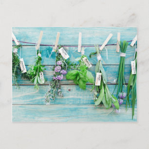 herbals on vintage turquoise painted wood wall postcard