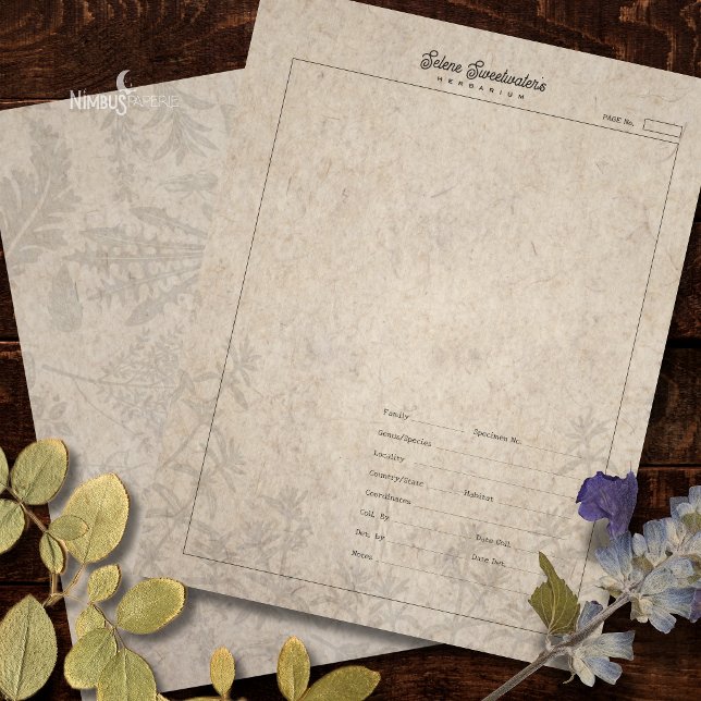Herbarium Plant Specimen Sheet Old Paper Custom Letterhead (Creator Uploaded)