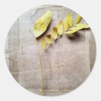 Herbarium V