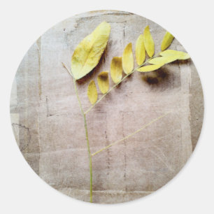 Herbarium V Classic Round Sticker