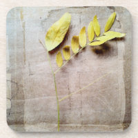 Herbarium V