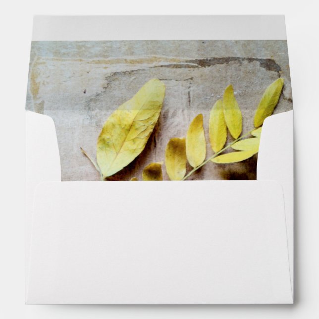 Herbarium V Envelopes (Back (Bottom))