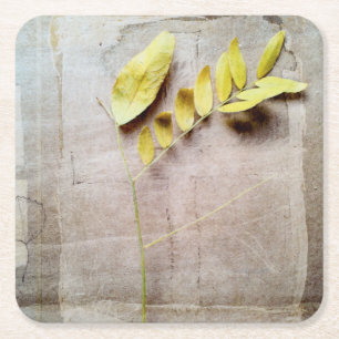 Herbarium V Square Paper Coaster