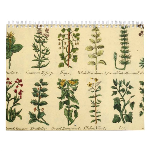 HERBS AND BOTANICALS, Mediaeval Vintage Calendar (Cover)