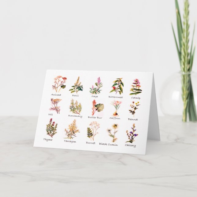 Herbs and Spices Greeting Cards (Front)