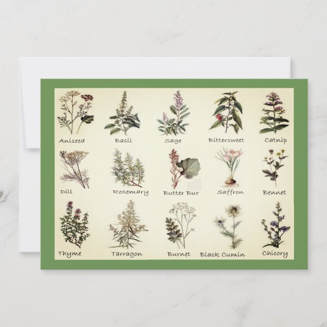 Herbs and Spices Invitations (Front)