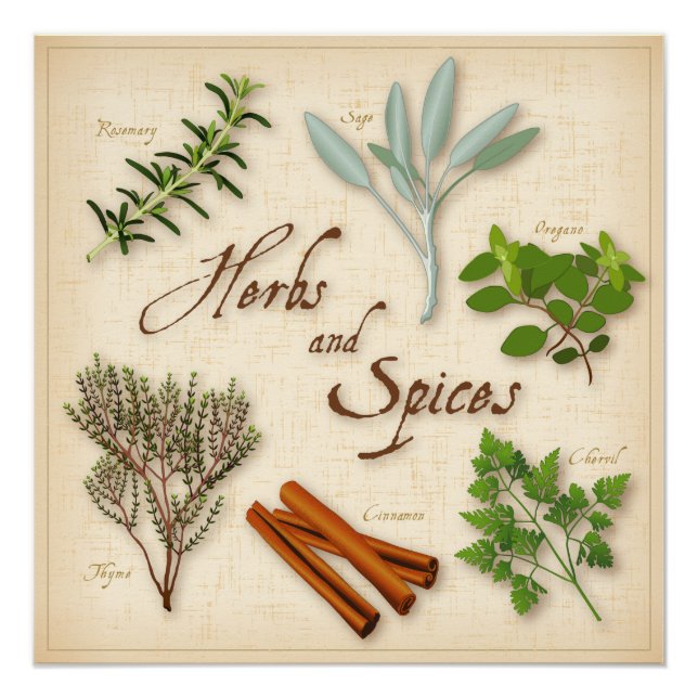 Herbs and Spices Poster (Front)