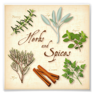 Herbs and Spices, Rosemary, Sage, Thyme, Cinnamon Photo Print