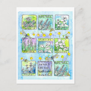 Herbs Garden Dragonflies Honey Bees Watercolor Postcard