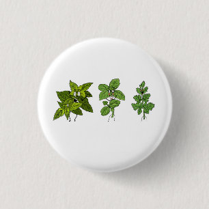 Herbs, herb themed 3 cm round badge