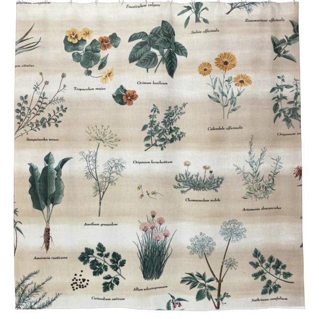 Herbs Plants Flowers Shower Curtain (Front)
