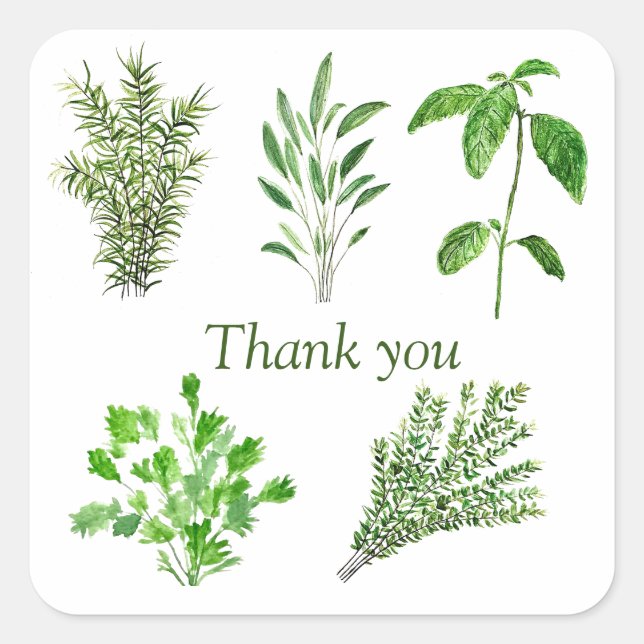 Herbs Rosemary Sage Thyme Mint Parsley Thank You Square Sticker (Front)