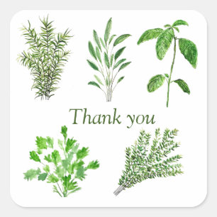 Herbs Rosemary Sage Thyme Mint Parsley Thank You Square Sticker