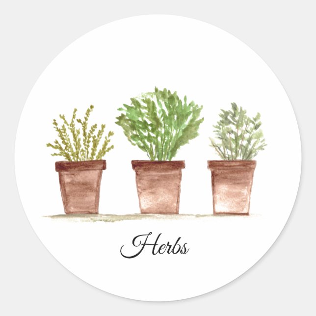 Herbs sage, rosemary, thyme greenery Rustic Plants Classic Round Sticker (Front)