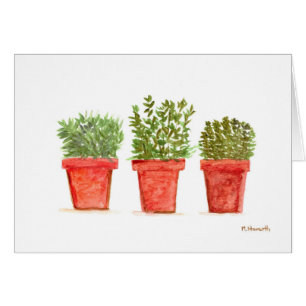 Herbs thyme rosemary mint