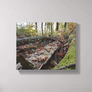 Herbst Canvas Print