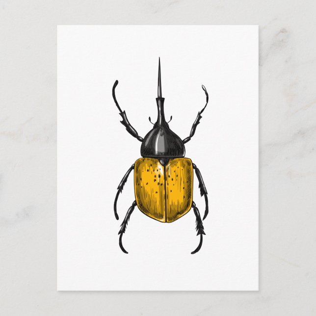 Hercules beetle postcard (Front)