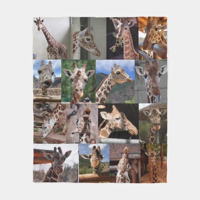 Herd 50" x 60" Medium Fleece Blanket (Front)