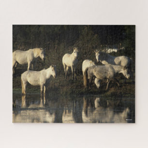 Herd Camargue Ponies Standing In Water Jigsaw Puzzle
