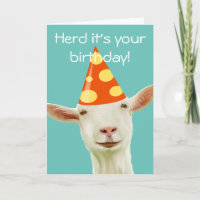 Herd It's Your Birthday From A Funny Goat