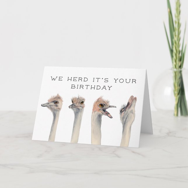 Herd Its Your Birthday | Ostrich Birds Card (Front)