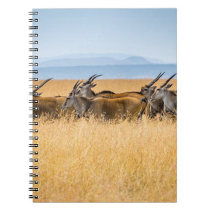 HERD OF ANTELOPES ON GRASS FIELD NOTEBOOK