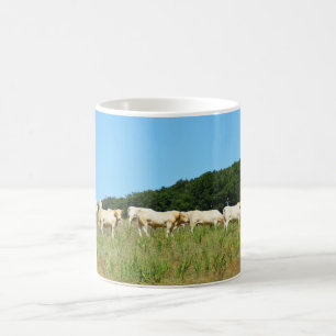 Herd of beef cattle coffee mug