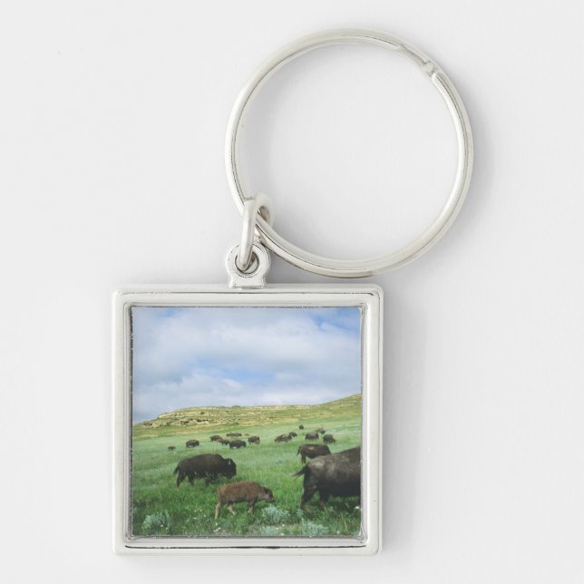 Herd of bison graze prairie grass at Theodore Key Ring (Front)